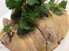 白斩鸡-振鼎鸡(福州路店)