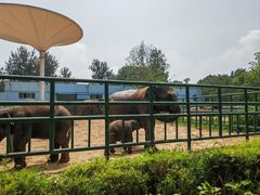 -秦皇岛野生动物园