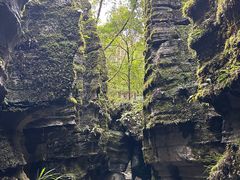 -梭布垭石林景区