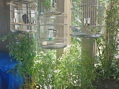 -川旺角川粤融合菜•海景餐厅(星海广场店)