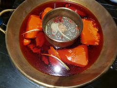 -杨家火锅(国美店)