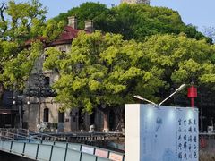 -江心屿景区