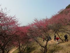 -溪口-滕头旅游景区