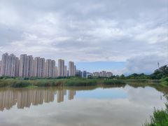 -龙江公园