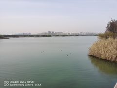 -贡湖湾湿地公园