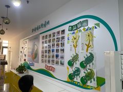 -能量小象·感统·专注力·语言(崂山校区)