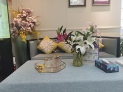 -静博士·养生养颜