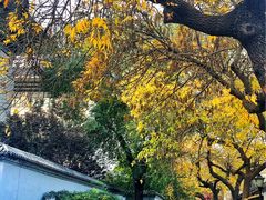 -VOYAGE COFFEE(北锣鼓巷店)