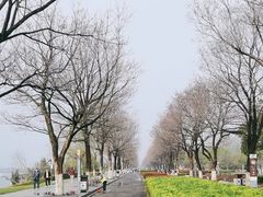 -云龙湖旅游景区