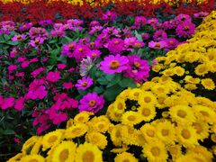 -无锡惠山寺