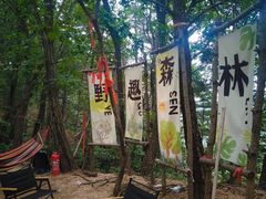 -六里坪国家森林公园