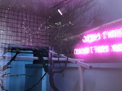 -ZING鲸鱼啤酒(葡萄院店)