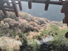 -少华山国家森林公园
