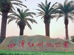 -宝安西湾红树林湿地公园