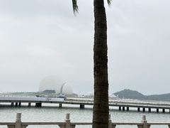 -野狸岛