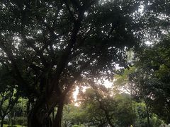 -晓港公园