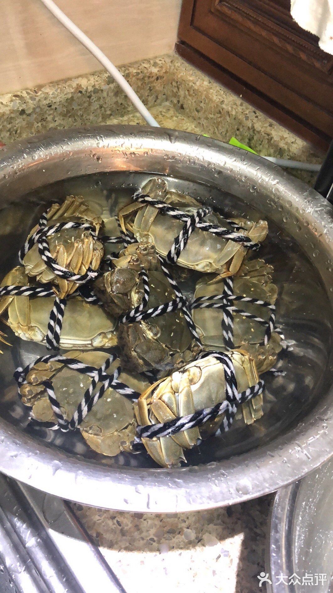 不知什么时候开始 螃蟹在我家成负担了[尴尬]