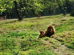 -西安秦岭野生动物园