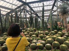 -华南国家植物园-售票处