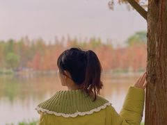 -白鹭湾湿地公园