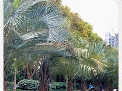 -苏州河梦清园环保主题公园