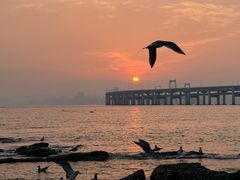-星海湾跨海大桥
