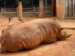 -昆明动物园