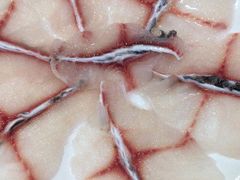 -活鱼馆(宜兴埠店)