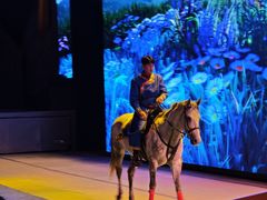 -中国马镇舞马世界主题乐园