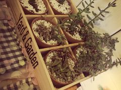 长颈鹿咖啡-长颈鹿咖啡(大学路店)