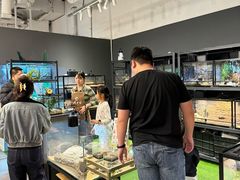 -FAIRYLAND龙族星球主题餐厅(凯丹广场店)