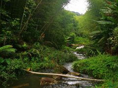-千泷沟大瀑布旅游区