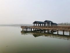 -天津东丽湖风景区