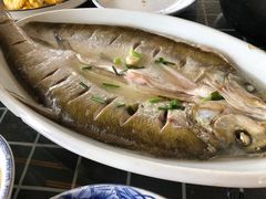 太湖白鱼-美味之家·湖景农家乐(太湖东山店)