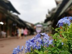 -洛带古镇