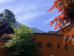 -九华山风景区