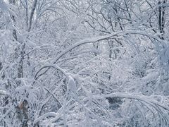 -长白山万达国际滑雪场