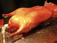 -青岛富力艾美酒店