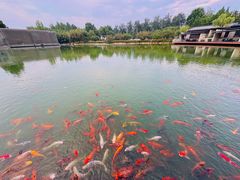 -春晖园度假酒店温泉