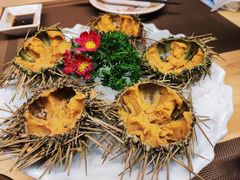 活海胆刺身-悦和餐厅(CBD玉米楼店)