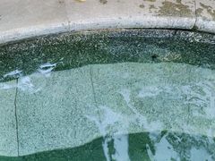 -太白山御龙湾温泉
