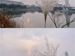 -日照海滨国家森林公园
