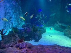 -沈阳海洋探索中心