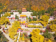 -遵化市禅林寺古银杏风景园