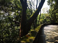 -道教老君洞