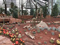 -南通洲际绿博园