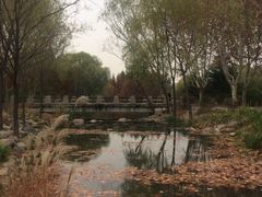 -郑州植物园