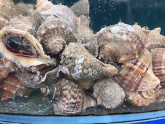 -渔中舟海鲜大排档(普陀沈家门店)