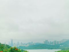 -深圳仙湖植物园