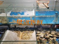 水产区-争鲜·鲍鱼鸡煲(美邻中心店)